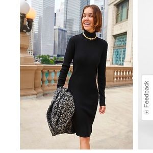 NWT Express Ribbed Turtleneck Midi Sweater Dress